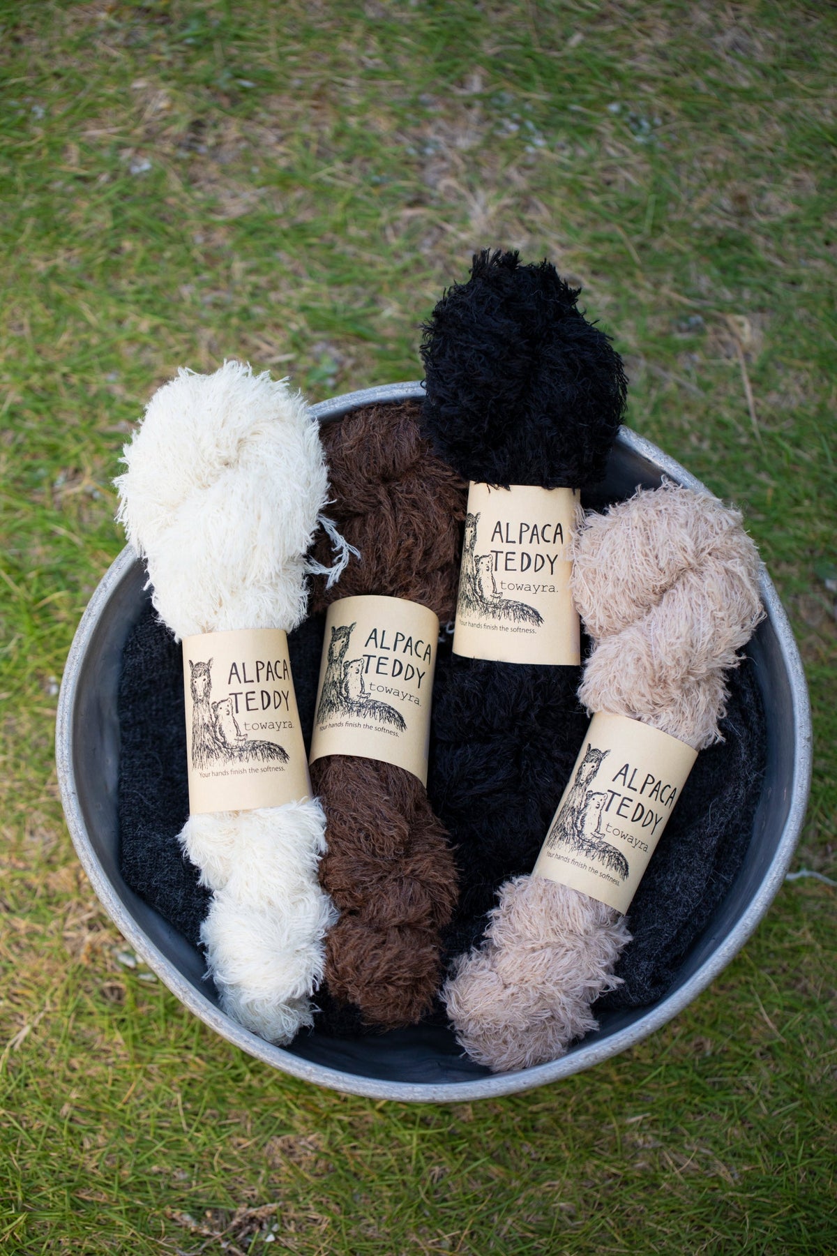 Alpaca