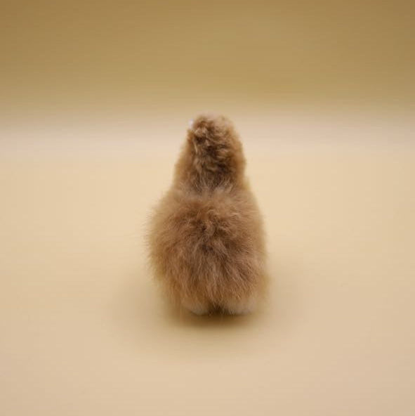 ALPACA WAWA＜PERUVIAN HANDMADE DOLL＞SMALL